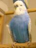 Klik p� billedet for at se det