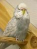 Klik p� billedet for at se det